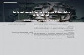 Introducción a la perfilación - revista.cleu.edu.mx