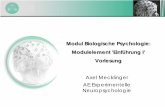 Modul Biologische Psychologie: Modulelement 'Einführung I ...