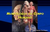 MORFOLOGIA DO CORPO HUMANO