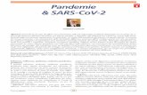 Pandemie PDF & SARS-CoV-2