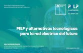 PELP y alternativas tecnológicas para la red eléctrica del ...
