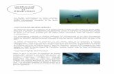 Archéologie sous-marine et subaquatique