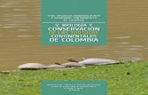 DE LAS TORTUGAS CONTINENTALES DE COLOMBIA