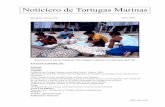 Noticiero de Tortugas Marinas - chmhonduras.org