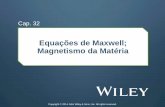 Equações de Maxwell; Magnetismo da Matéria