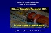 Détresse Respiratoire Néonatale > 35SA