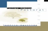 Teología práctica pastoral (Spanish Edition)