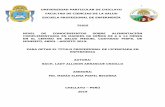 UNIVERSIDAD PARTICULAR DE CHICLAYO FACULTAD DE …