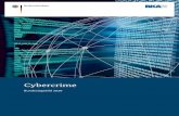 Bundeslagebild Cybercrime 2020 - BKA