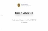 Raport COVID-19 - gov.md