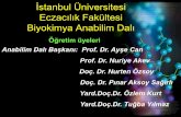 İstanbul Üniversitesi Eczacılık Fakültesi Biyokimya ...
