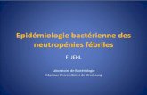 Epidémiologie bactérienne des neutropénies fébriles