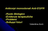 Anticorpi monoclonali Anti-EGFR -Ruolo Biologico -Evidenze ...