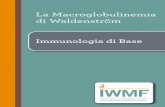 La Macroglobulinemia Dichiarazione di vision di IWMF di ...
