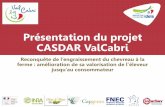 Présentation du projet CASDAR ValCabri