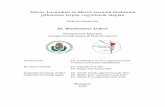 Salvia, Lavandula és Morus taxonok fitokémiai jellemzése ...
