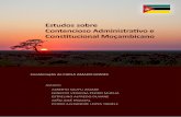 Estudos sobre Contencioso Administrativo e Constitucional ...