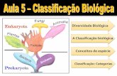 Diversidade Biológica A Classificação biológica Conceitos ...