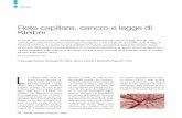 Rete capillare, cancro e legge di Kleiber
