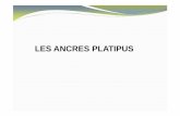 LES ANCRES PLATIPUS - Weebly