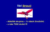 řád Brouci - EduPage