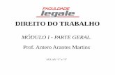 MÓDULO I - PARTE GERAL. Prof. Antero Arantes Martins