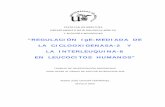 “REGULACIÓN IgE-MEDIADA DE LA CICLOOXIGENASA-2 Y LA ...
