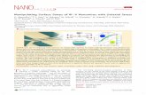 Manipulating Surface States of III V Nanowires with ...