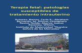 Terapia fetal: patologías susceptibles de tratamiento ...
