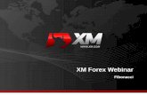 XM Forex Webinar - Pipsologie