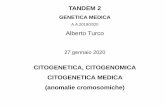 CITOGENETICA, CITOGENOMICA CITOGENETICA MEDICA (anomalie ...