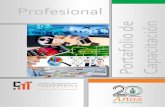 portafolio profesional 2505 - itsm.edu.mx