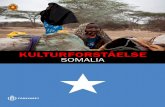 KULTURFORSTÅELSE SOMALIA - FAK