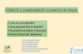 FORESTE E CAMBIAMENTI CLIMATICI IN ITALIA