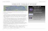 CRESYL VIOLET STAIN - NeuroscienceCourses.com