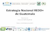 Estrategia Nacional REDD+ de Guatemala