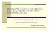 PROYECTO DE SEGURIDAD E HIGIENE PARA EL RUBRO [Modo de ...