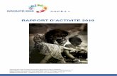 RAPPORT D’ACTIVITE 2019 - GROUPE SOS