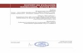 raport evaluare panpetrol - Insolventa Cluj