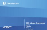 STR Vision Teamwork