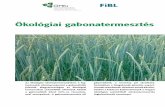 Ökológiai gabonatermesztés - FiBL