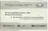 Compilación de Convenios y Tratados Internacionales en ...