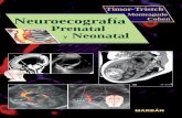 Monteagudo Neuroecografía - BERRI