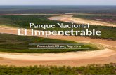 Parque Nacional El Impenetrable - Rewilding Argentina