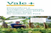 Diversicar e fortalecer: Sistemas Agroorestais (SAFs ...