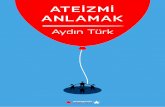 Aydın Türk - Anarcho-Copy