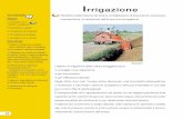 Irrigazione - CNR