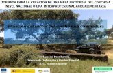 Situación del sector del corcho en Extremadura