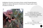 Kebijakan Provinsi Sumatera Utara untuk Pengembangan ...