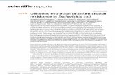 Genomic evolution of antimicrobial resistance in ...